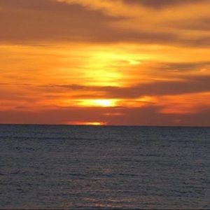 Meet your Posher, Josette